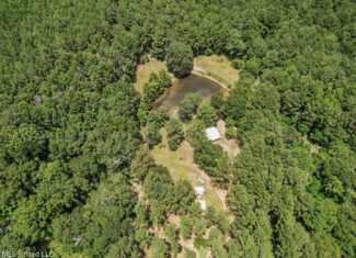Turn-Key Hunting Land for Sale in Magnolia, Mississippi
