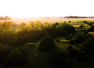 200+/- Acre Recreational & Agricultural Property | Pratt County, Kansas – Unit 16 Trophy Whitetail Country