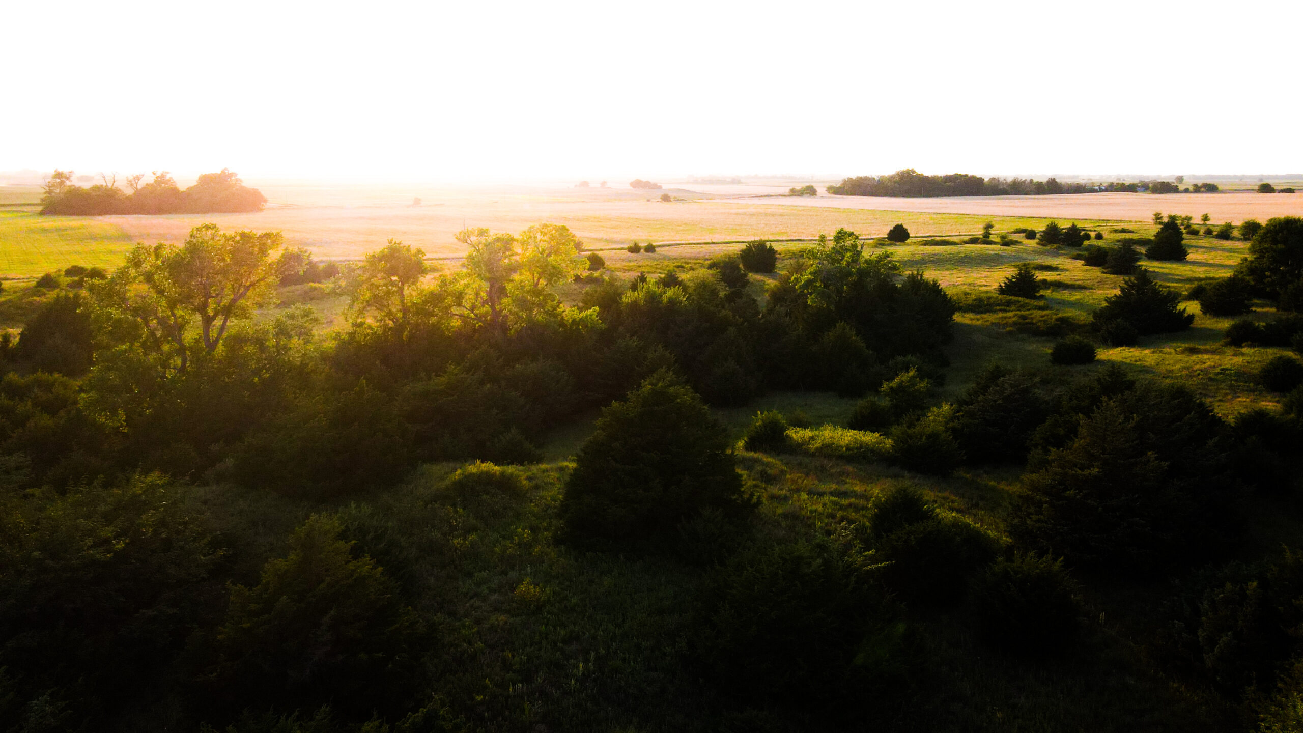 200+/- Acre Recreational & Agricultural Property | Pratt County, Kansas – Unit 16 Trophy Whitetail Country