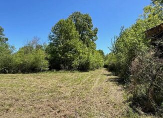 Hunting Land for Sale Near Gloster, Mississippi