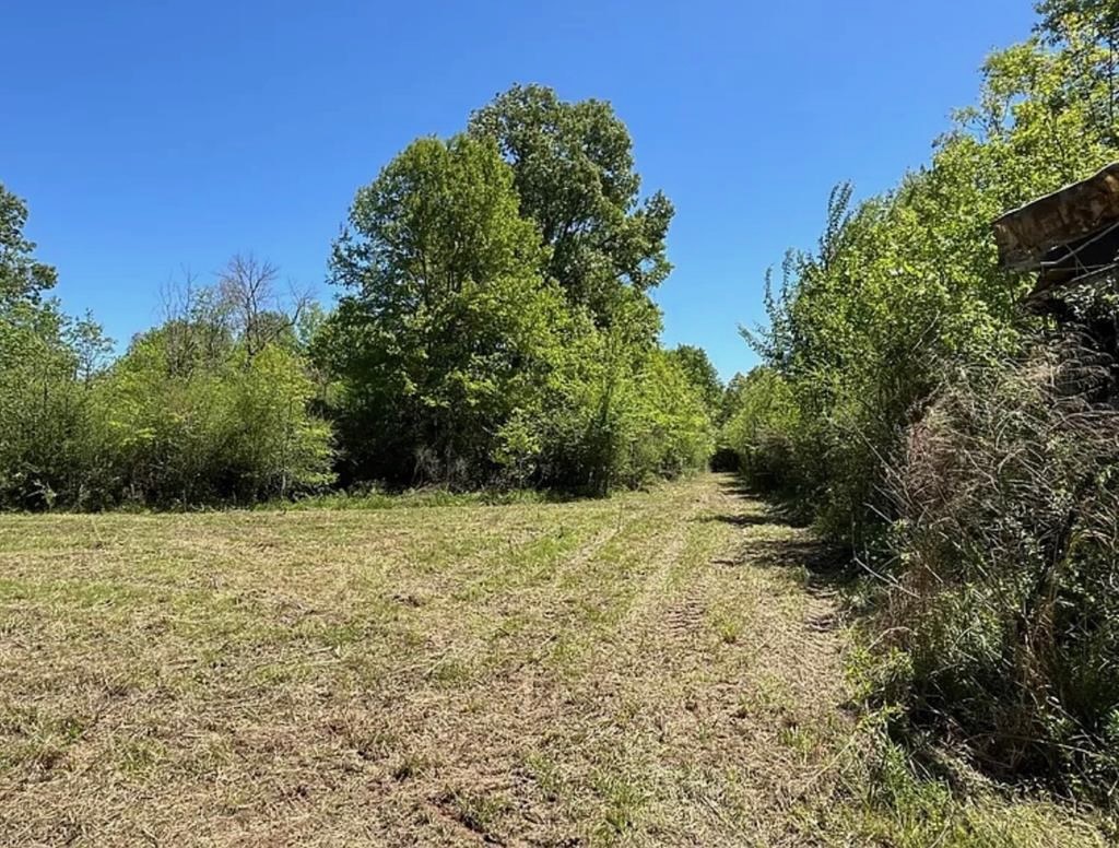 Hunting Land for Sale Near Gloster, Mississippi