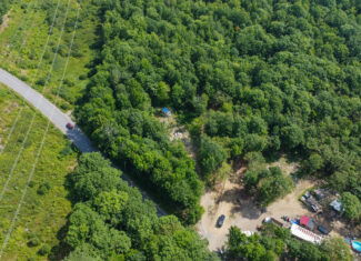 35± Acres with 1500 feet on the Brook
