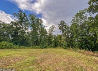 95 Acres of Prime Hunting Property in Hinds County