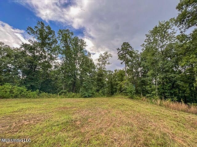 95 Acres of Prime Hunting Property in Hinds County