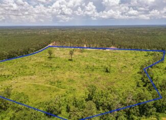 Land for Sale in Amite County, MS