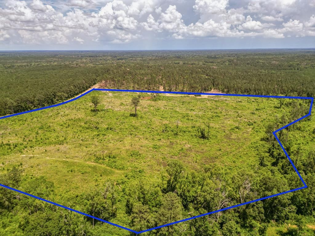 Land for Sale in Amite County, MS