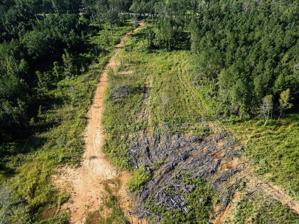Gloster MS Hunting & Investment Land for Sale – 84 Acres