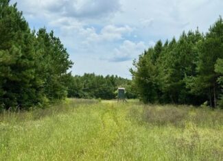 67 Acres For Sale Lawrence County MS