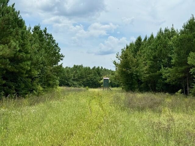 67 Acres For Sale Lawrence County MS