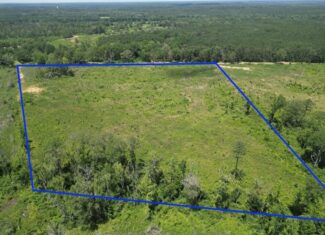 Land for Sale in Amite County, MS