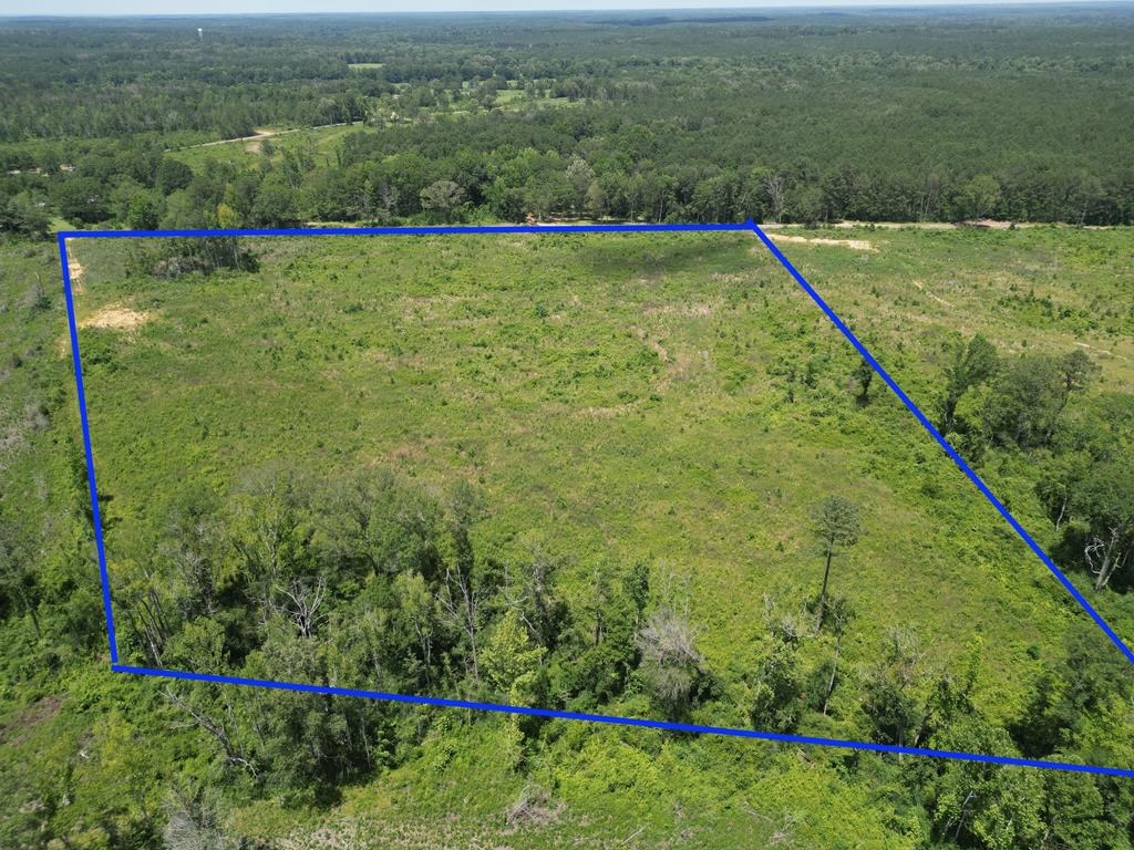 Land for Sale in Amite County, MS