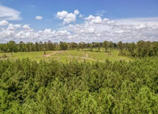 Land for Sale in Amite County, MS