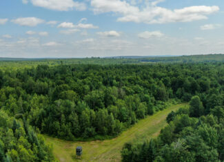 Maine Hunting and Recreational Timberland for Sale | 152± Acres in Carroll Plantation