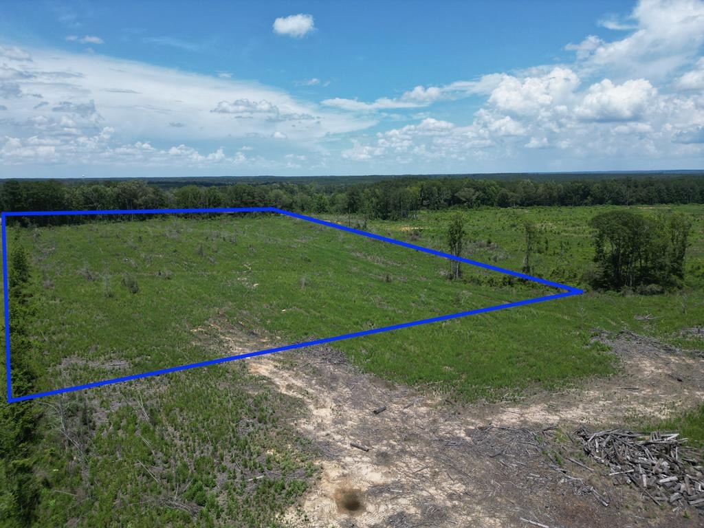 Land for Sale in Amite County, MS