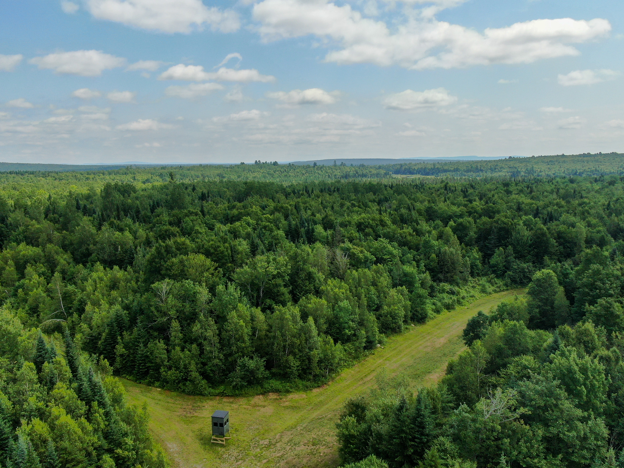 Maine Hunting and Recreational Timberland for Sale | 152± Acres in Carroll Plantation