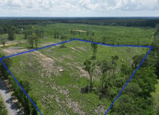 Land for Sale in Amite County, MS