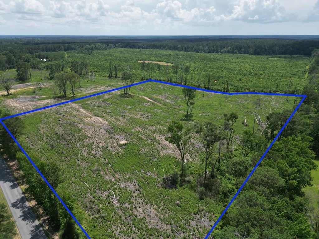 Land for Sale in Amite County, MS