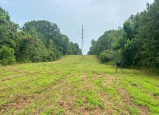 Land for Sale in St. Helena Parish, Louisiana
