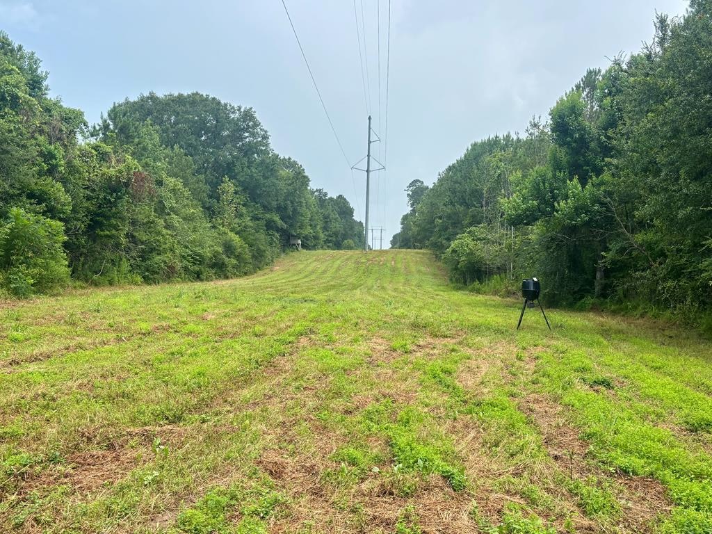 Land for Sale in St. Helena Parish, Louisiana
