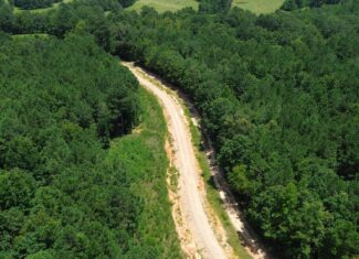 Lapine 216 Multi Use Recreational Timber – Ouachita Parish