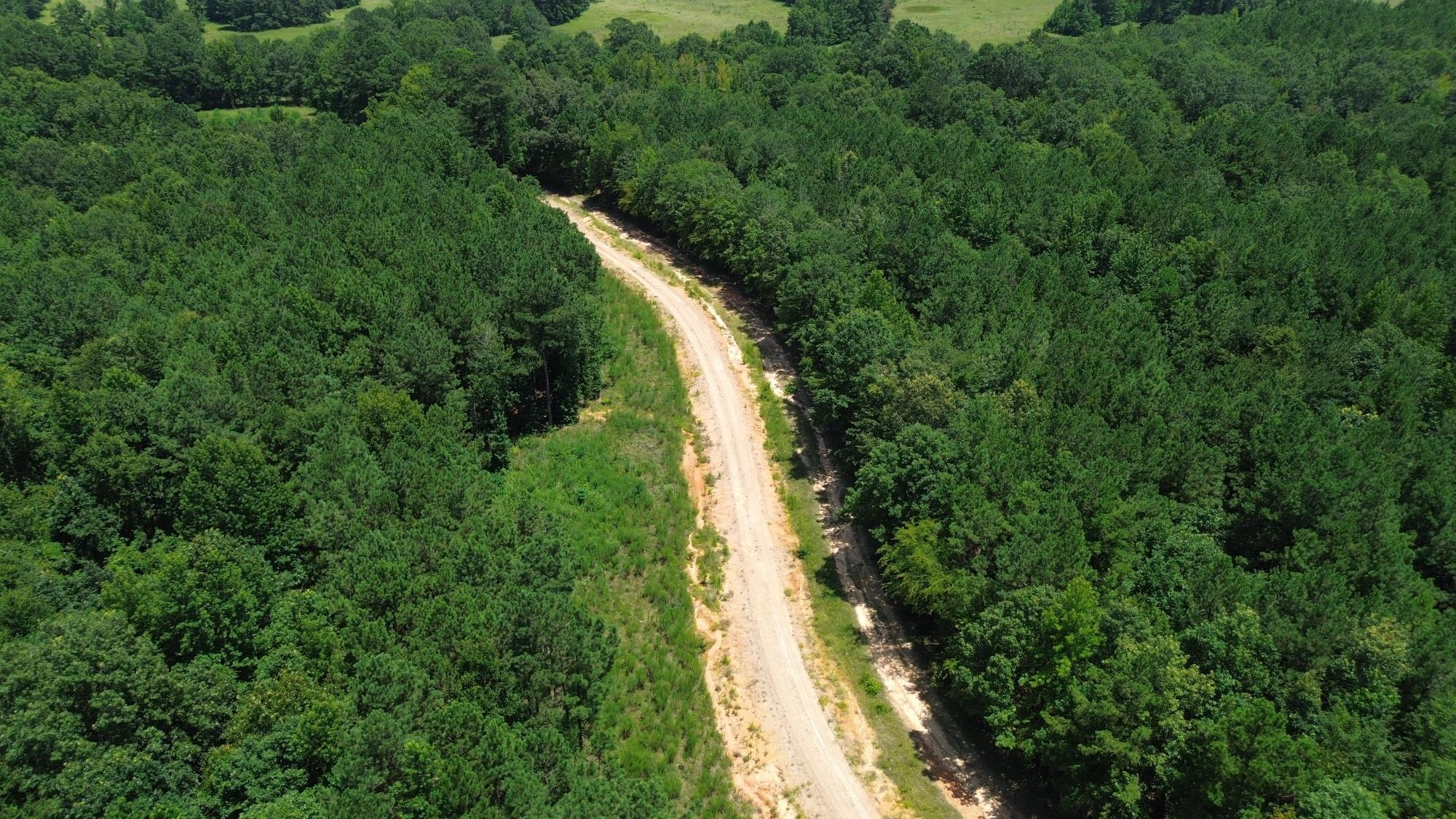 Lapine 216 Multi Use Recreational Timber – Ouachita Parish