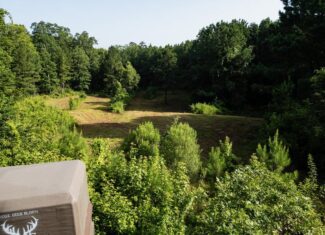 Hunting Land in Woodville, MS – 125 Acres for Sale