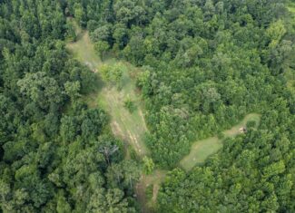 Hunting Land in Claiborne County, MS – The Reagan Tract