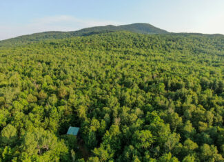 Off-Grid Cabin with 150± Acres Bordering Mount Chase