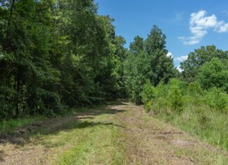 Lapine 216 Multi Use Recreational Timber – Ouachita Parish