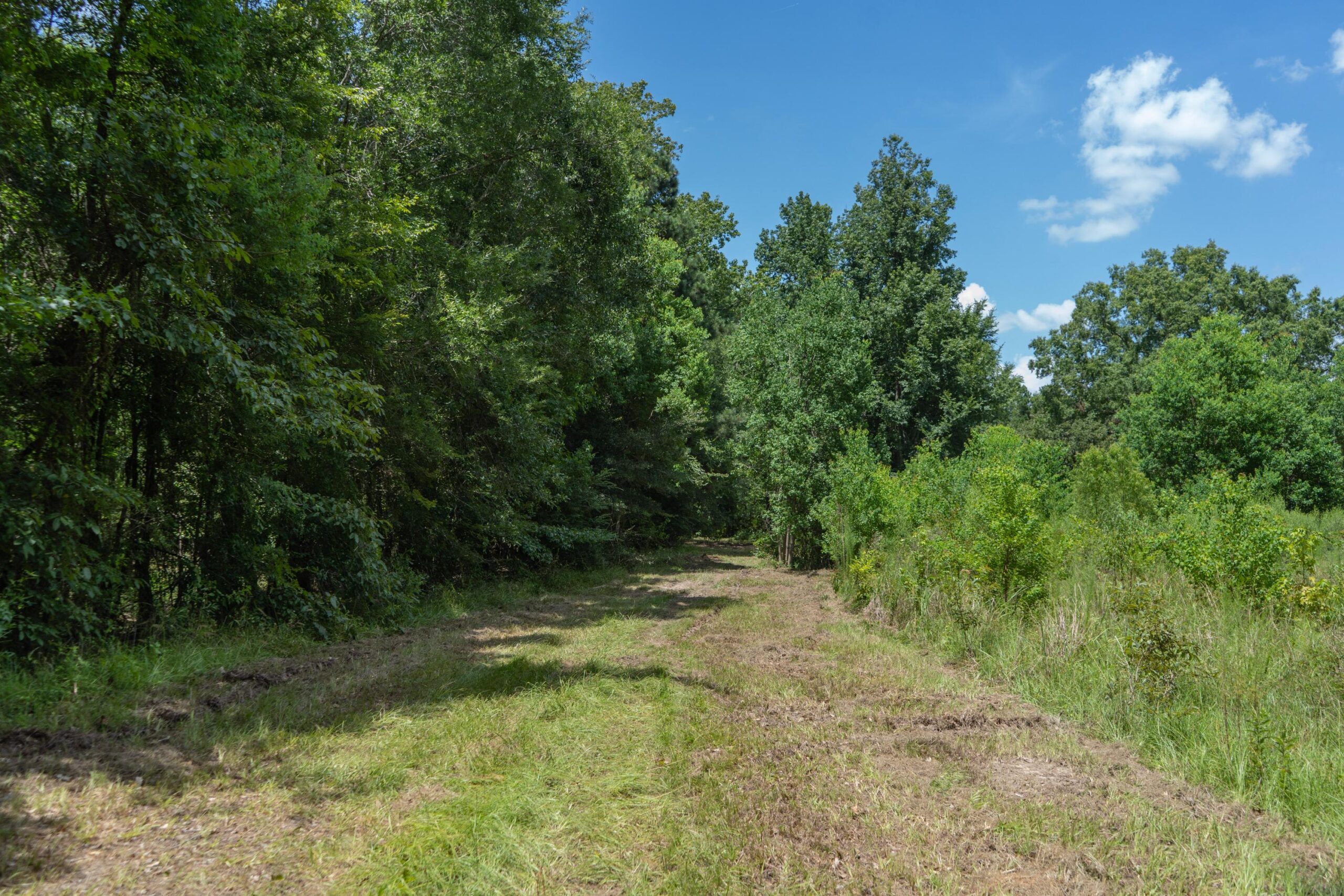 Lapine 216 Multi Use Recreational Timber – Ouachita Parish
