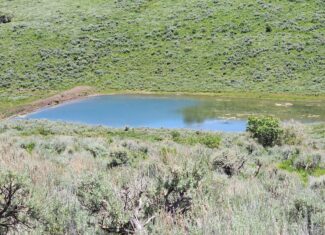 Colorado Hunting and Recreation Land
