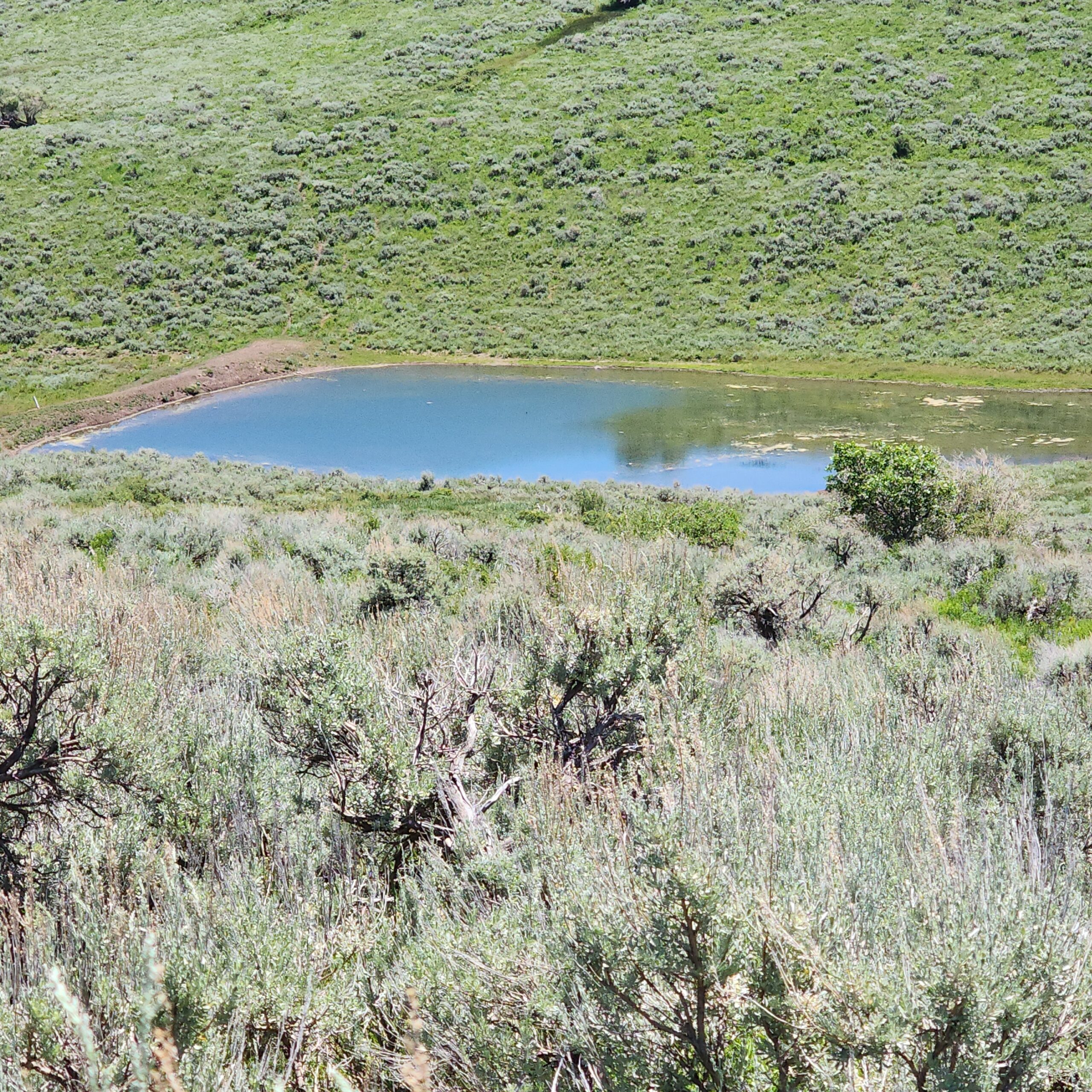 Colorado Hunting and Recreation Land