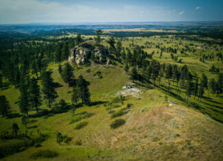 Pine Ridge Sanctuary-Premier Montana Hunting Land near Billings