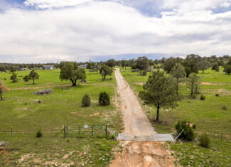 Cattle & Hunting Ranch for Sale in Weed, NM