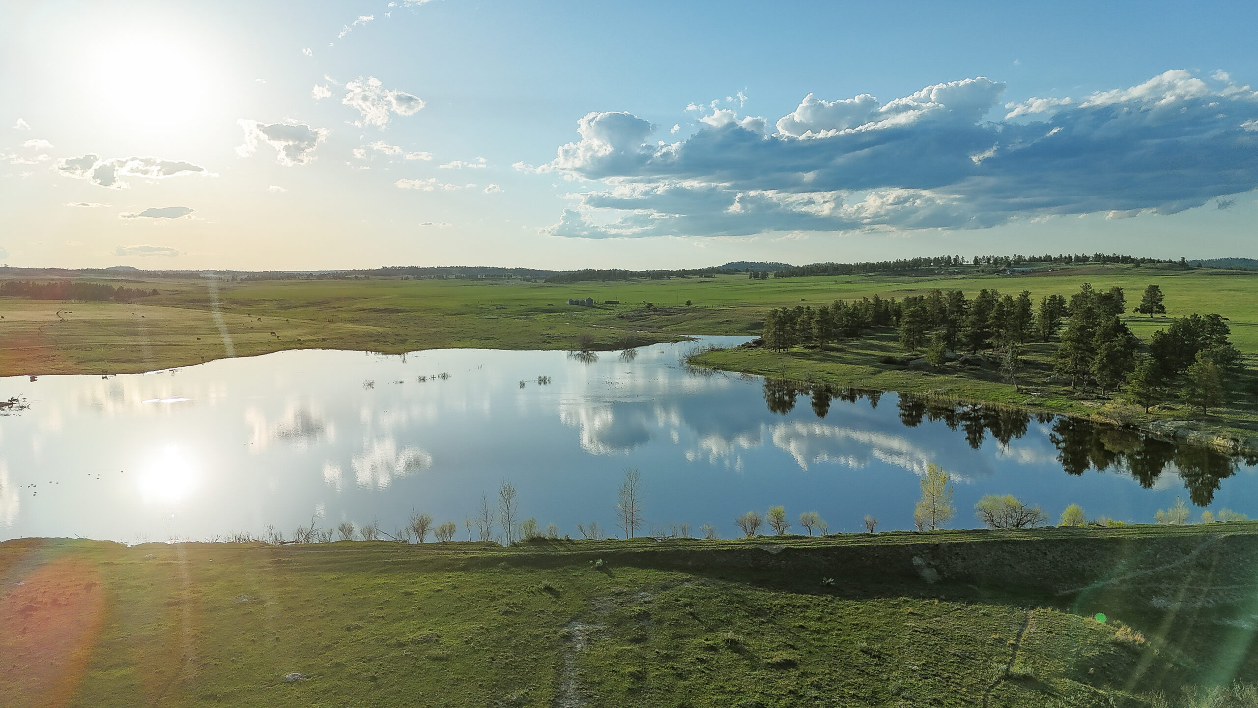 Windancer Ranch | | Custer, Montana