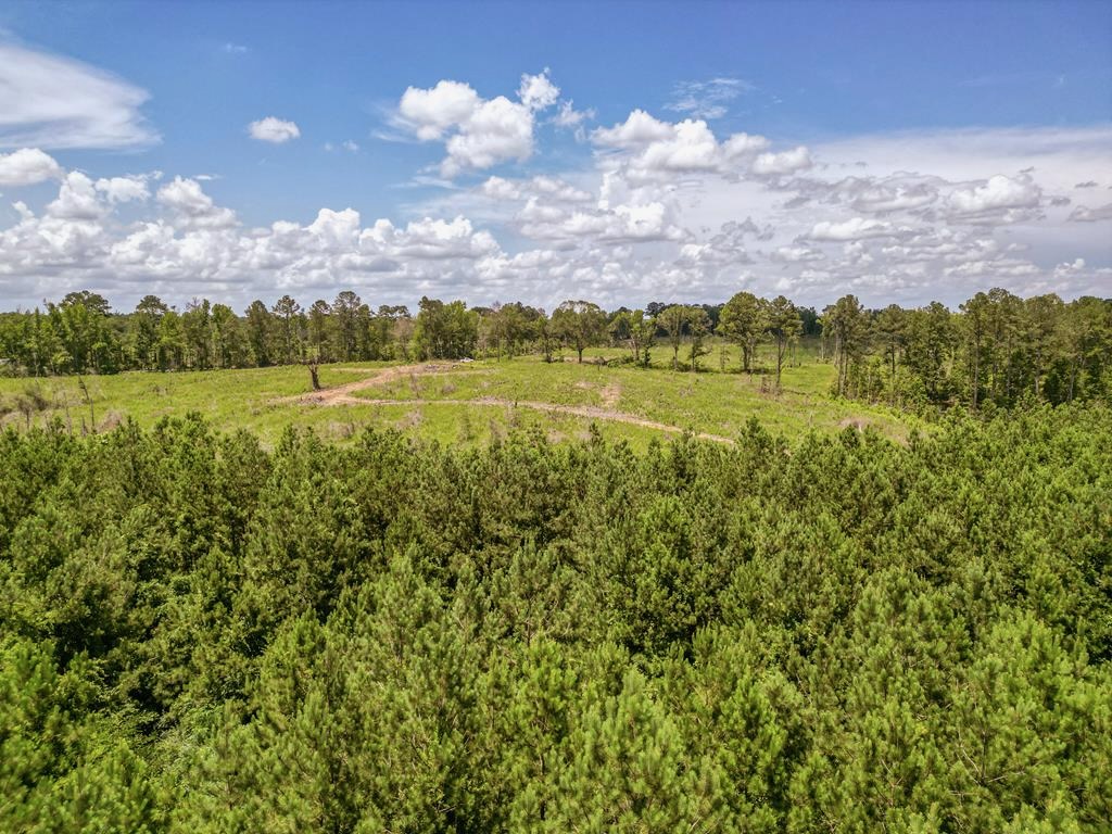 Land for Sale in Amite County, MS