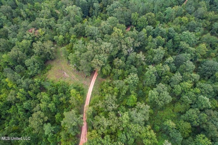 95 Acres of Prime Hunting Property in Hinds County