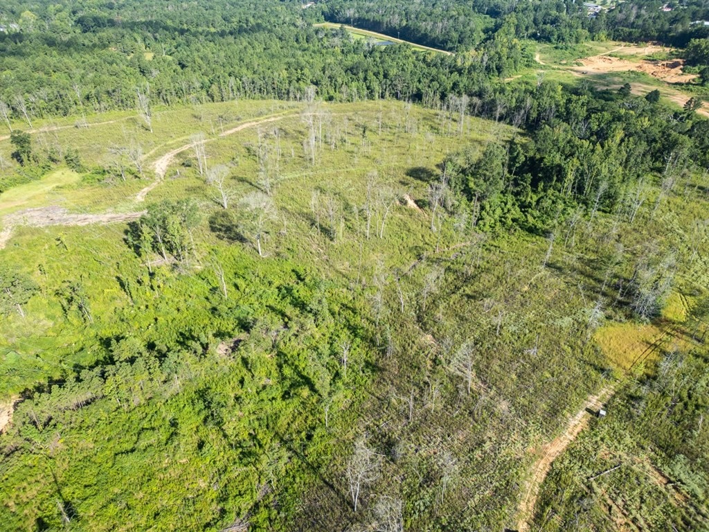Gloster MS Hunting & Investment Land for Sale – 84 Acres