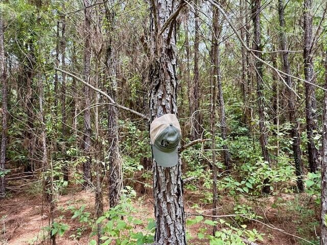 67 Acres For Sale Lawrence County MS