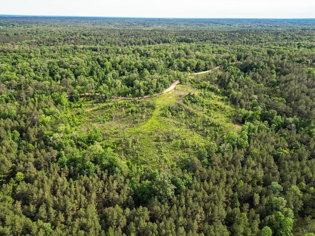 Catahoula 295 Acres – Enterprise, LA Hunting Land