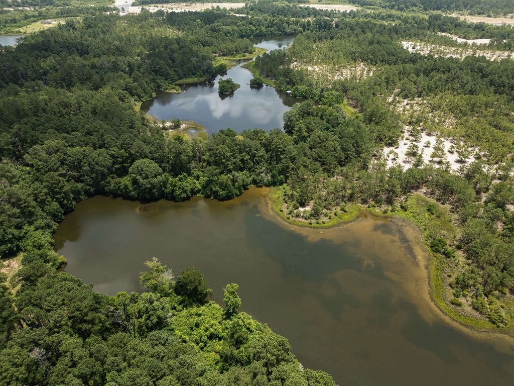 Clear Lake Land in East Feliciana Parish, Louisiana