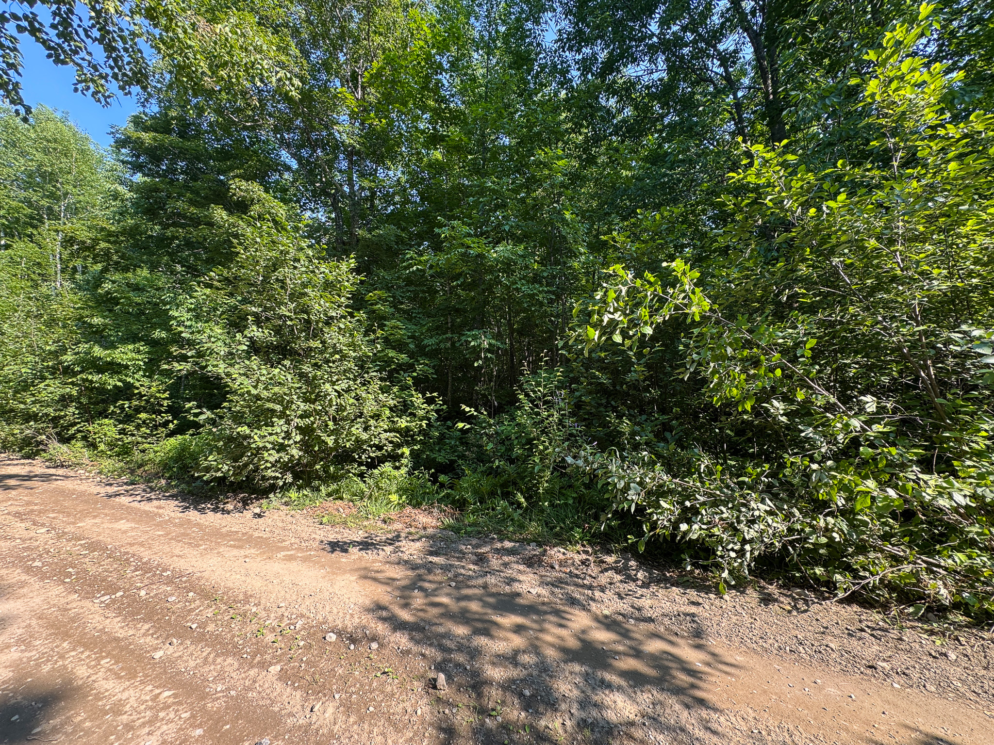80± Acres of Off-Grid Mountain Land in Mount Chase, Maine