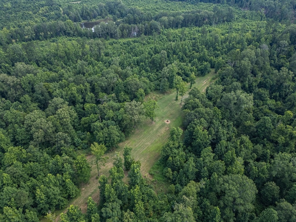 Hunting Land in Claiborne County, MS – The Reagan Tract