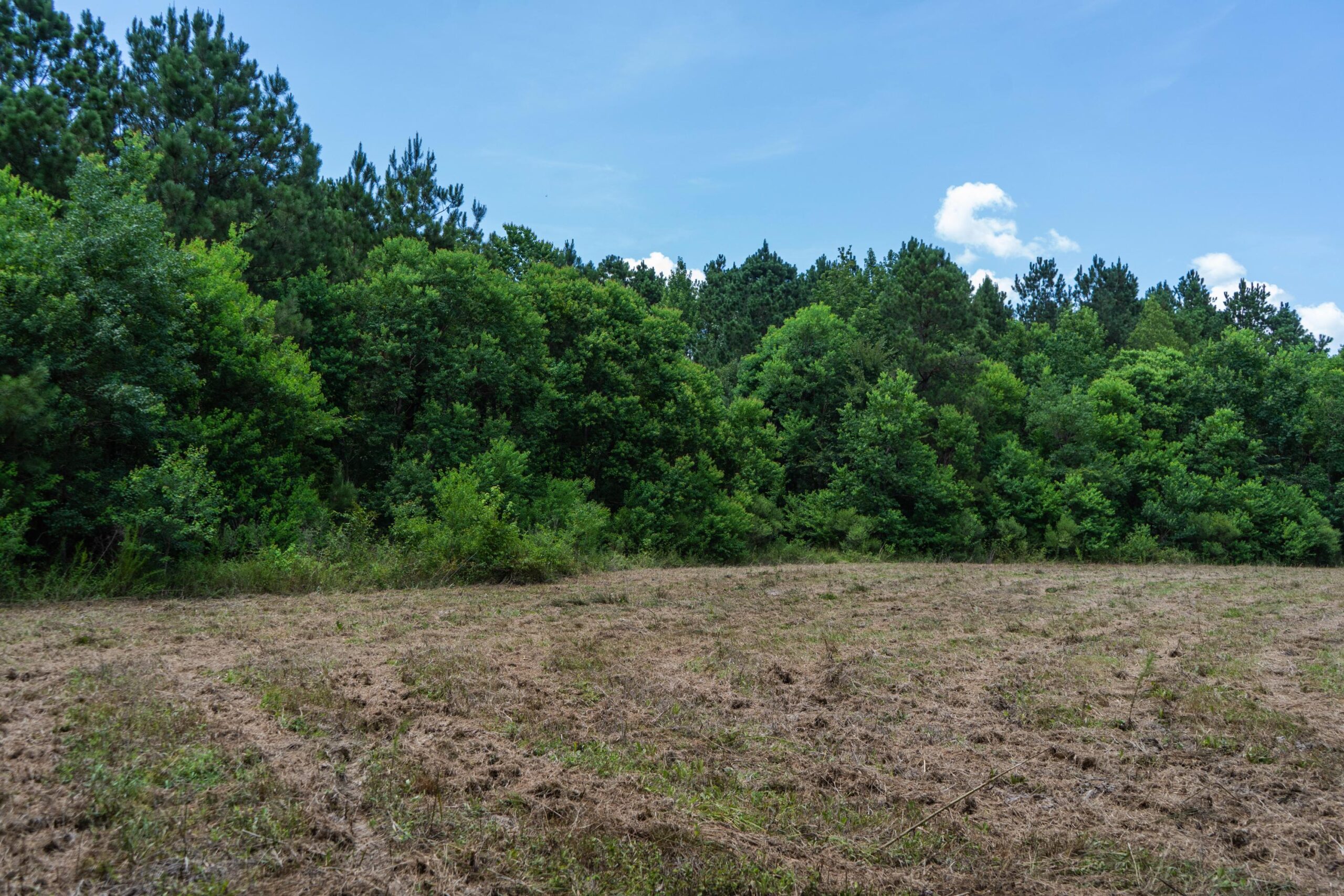 Lapine 216 Multi Use Recreational Timber – Ouachita Parish