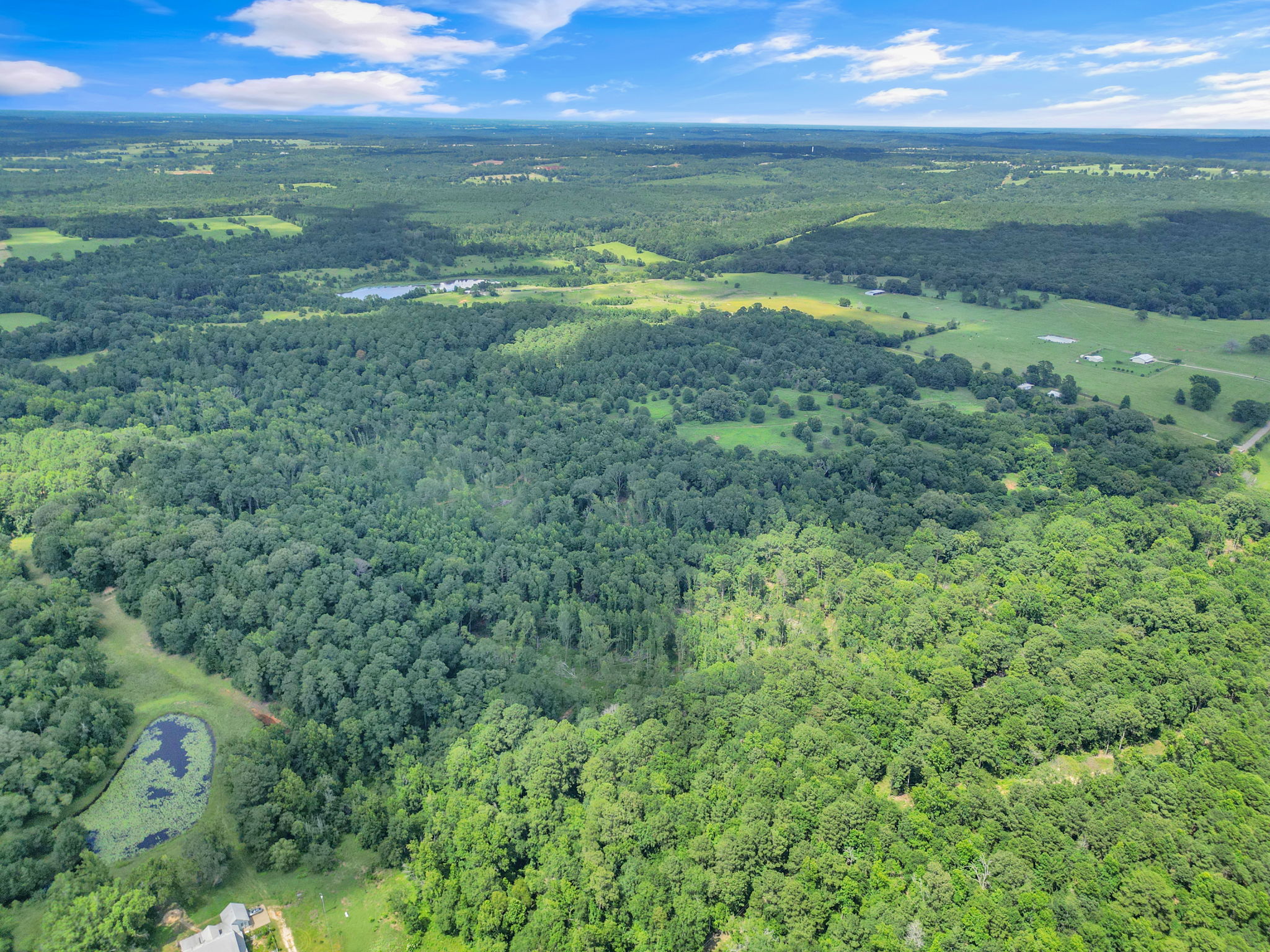 Texas Recreational Hunting Ranch for Sale East of Dallas