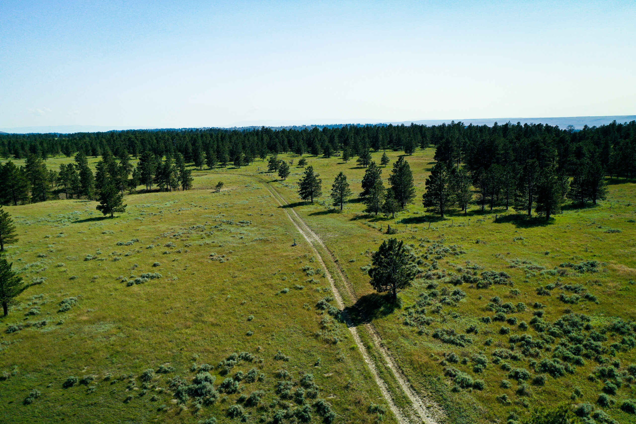 Pine Ridge Sanctuary-Premier Montana Hunting Land near Billings