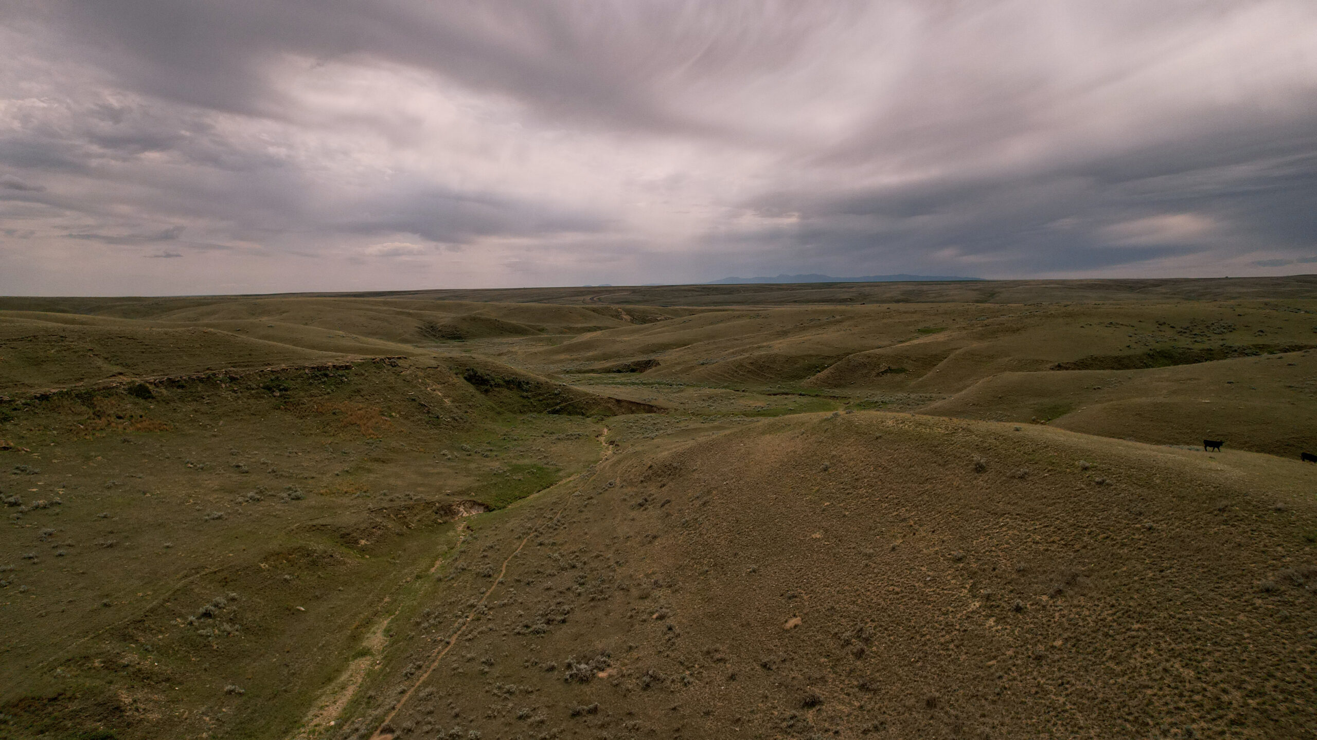 Alkali Creek Ranch
