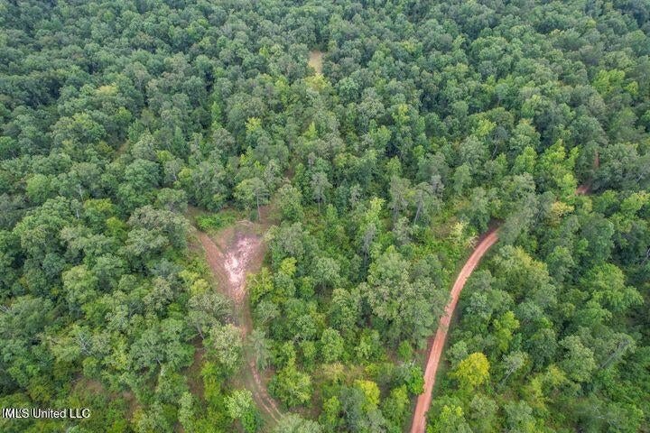 95 Acres of Prime Hunting Property in Hinds County