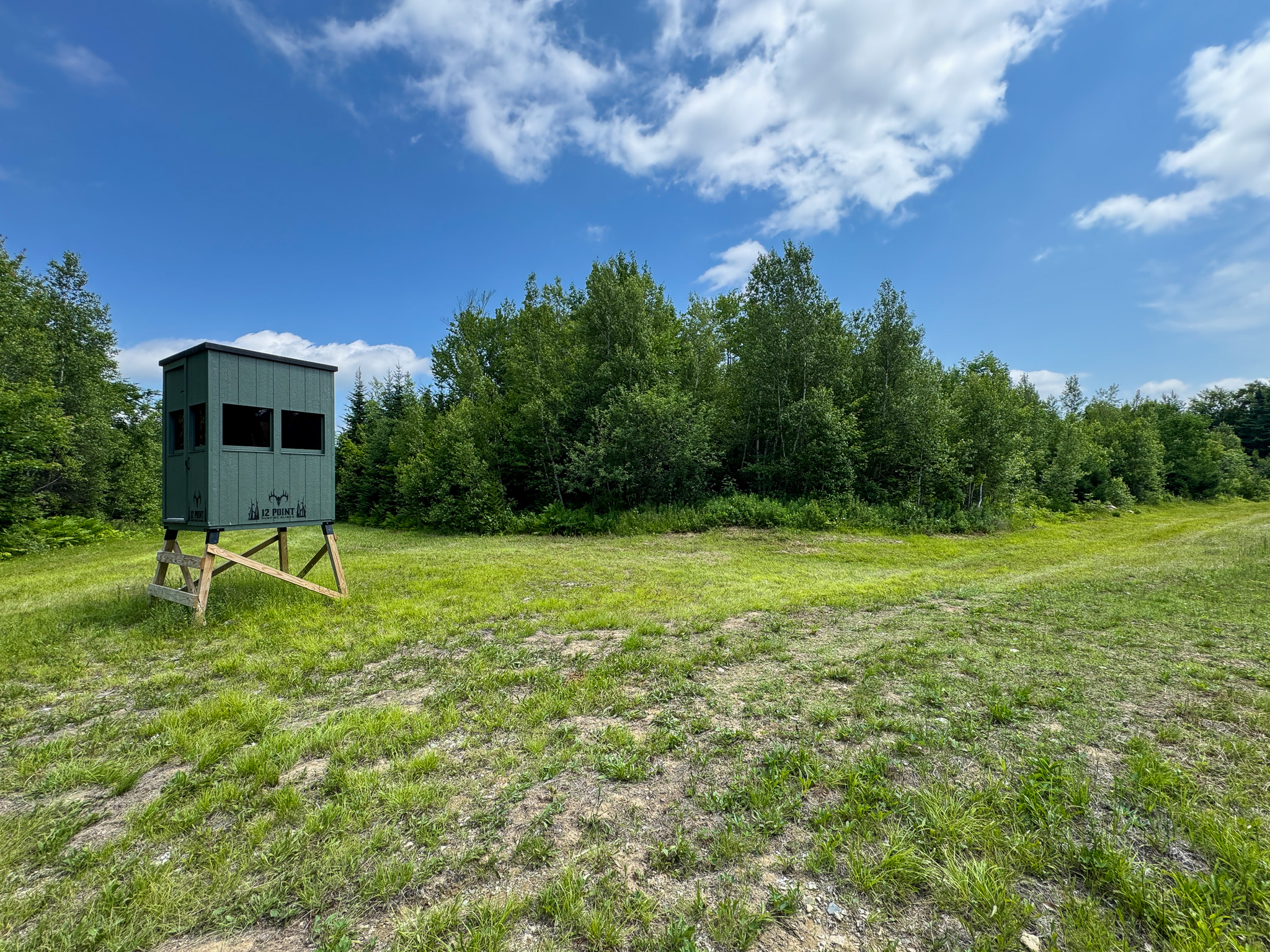 Maine Hunting and Recreational Timberland for Sale | 152± Acres in Carroll Plantation