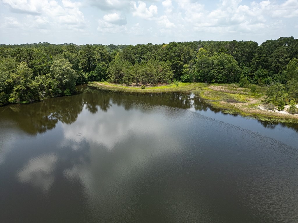 Clear Lake Land in East Feliciana Parish, Louisiana